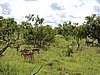 DSCN0647.JPG