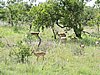 DSCN0648.JPG