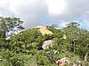 DSCN0649.JPG