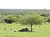 DSCN0650.JPG