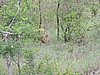 DSCN0651.JPG