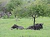 DSCN0656.JPG