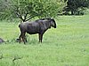 DSCN0658.JPG