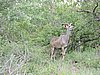 DSCN0661.JPG