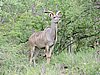 DSCN0664.JPG