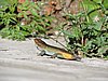 DSCN0669.JPG