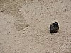 DSCN0679.JPG