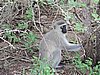 DSCN0682.JPG