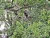 DSCN0684.JPG