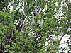 DSCN0685.JPG