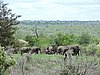 DSCN0686.JPG