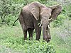 DSCN0691.JPG