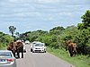 DSCN0696.JPG