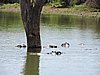 DSCN0702.JPG