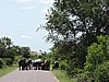 DSCN0706.JPG