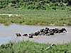 DSCN0711.JPG