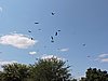 DSCN0712.JPG