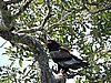 DSCN0715.JPG