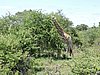 DSCN0716.JPG