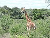 DSCN0717.JPG