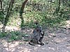 DSCN0723.JPG