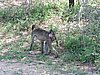 DSCN0725.JPG