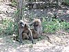 DSCN0727.JPG
