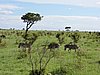 DSCN0734.JPG