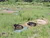 DSCN0735.JPG