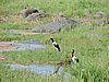 DSCN0736.JPG