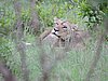 DSCN0753.JPG