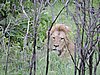DSCN0757.JPG