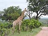 DSCN0761.JPG