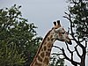 DSCN0762.JPG