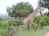 DSCN0763.JPG