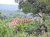 DSCN0764.JPG