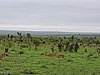 DSCN0766.JPG