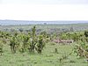 DSCN0767.JPG