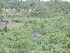 DSCN0768.JPG