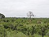 DSCN0769.JPG