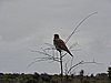 DSCN0772.JPG