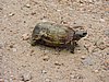 DSCN0778.JPG