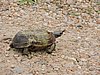 DSCN0779.JPG