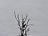 DSCN0780.JPG
