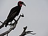 DSCN0784.JPG