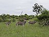 DSCN0786.JPG