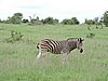 DSCN0787.JPG