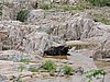 DSCN0788.JPG