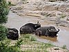 DSCN0790.JPG