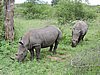 DSCN0793.JPG